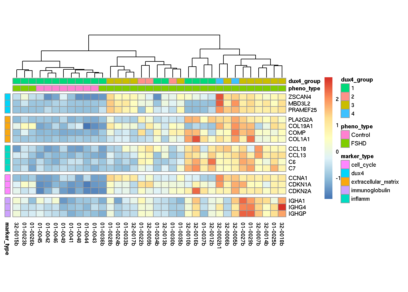 Heatmap of distcriminative genes from five function categories.