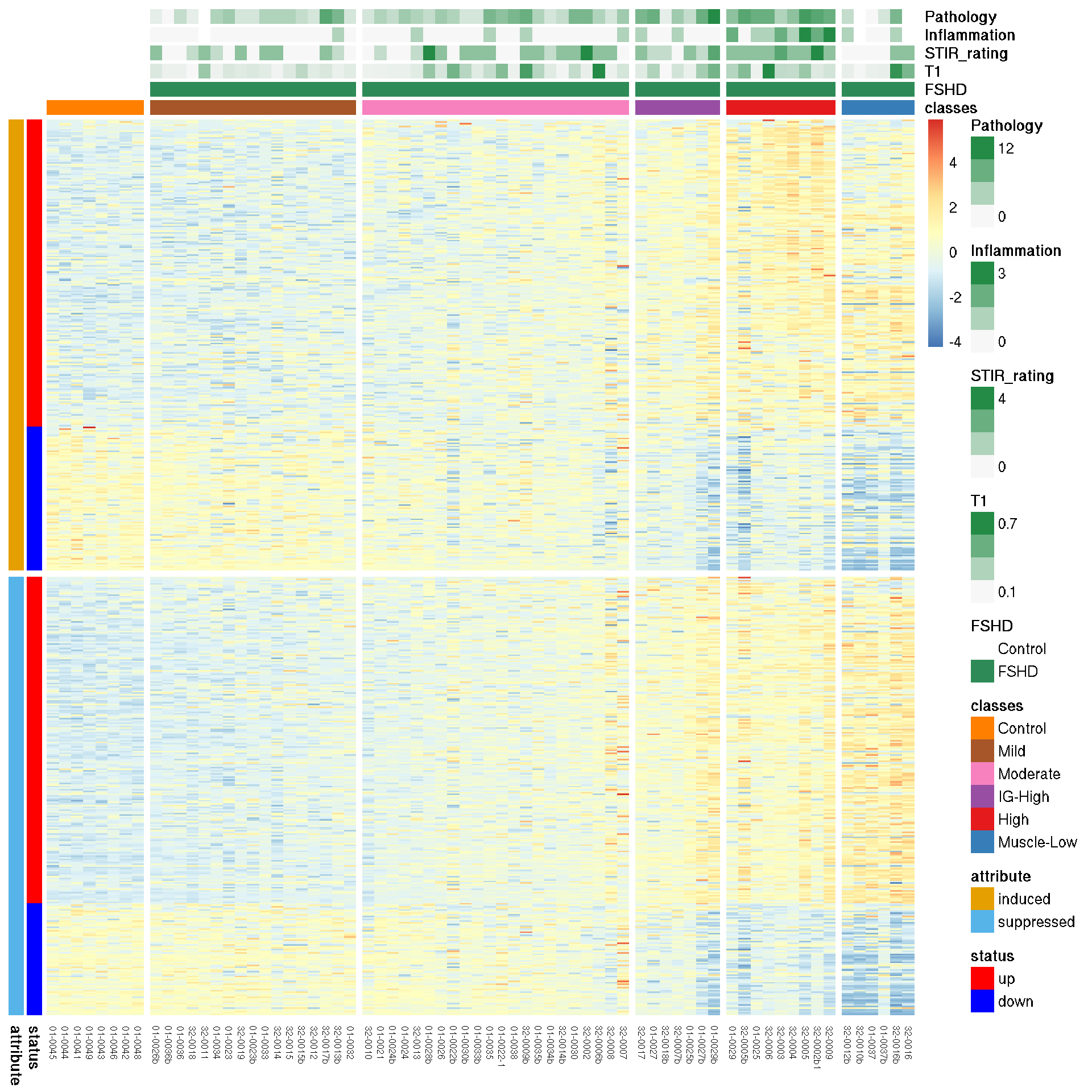 Heatmap of PAX7 targeted gene expression.